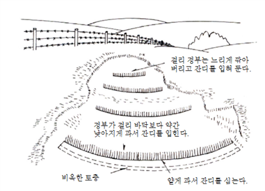 그림입니다.원본 그림의 이름: CLP00001ee80006.bmp원본 그림의 크기: 가로 519pixel, 세로 375pixel