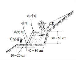 그림입니다.원본 그림의 이름: CLP00001ee80002.bmp원본 그림의 크기: 가로 312pixel, 세로 246pixel